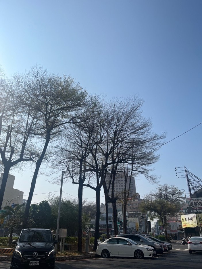 Khám phá Đài Nam - Thành phố cổ của Đài Loan - 1