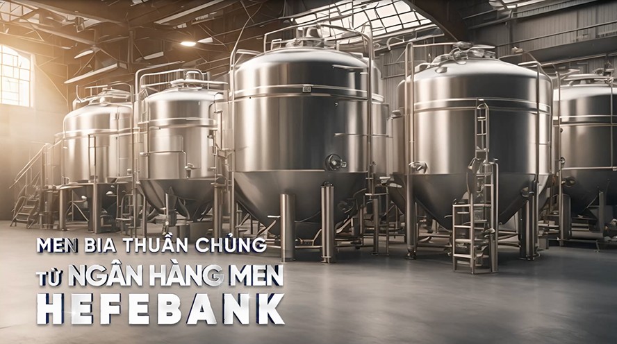 Bia Hơi Hạ Long - Đối tác “vàng” cho kinh doanh bền vững - 2