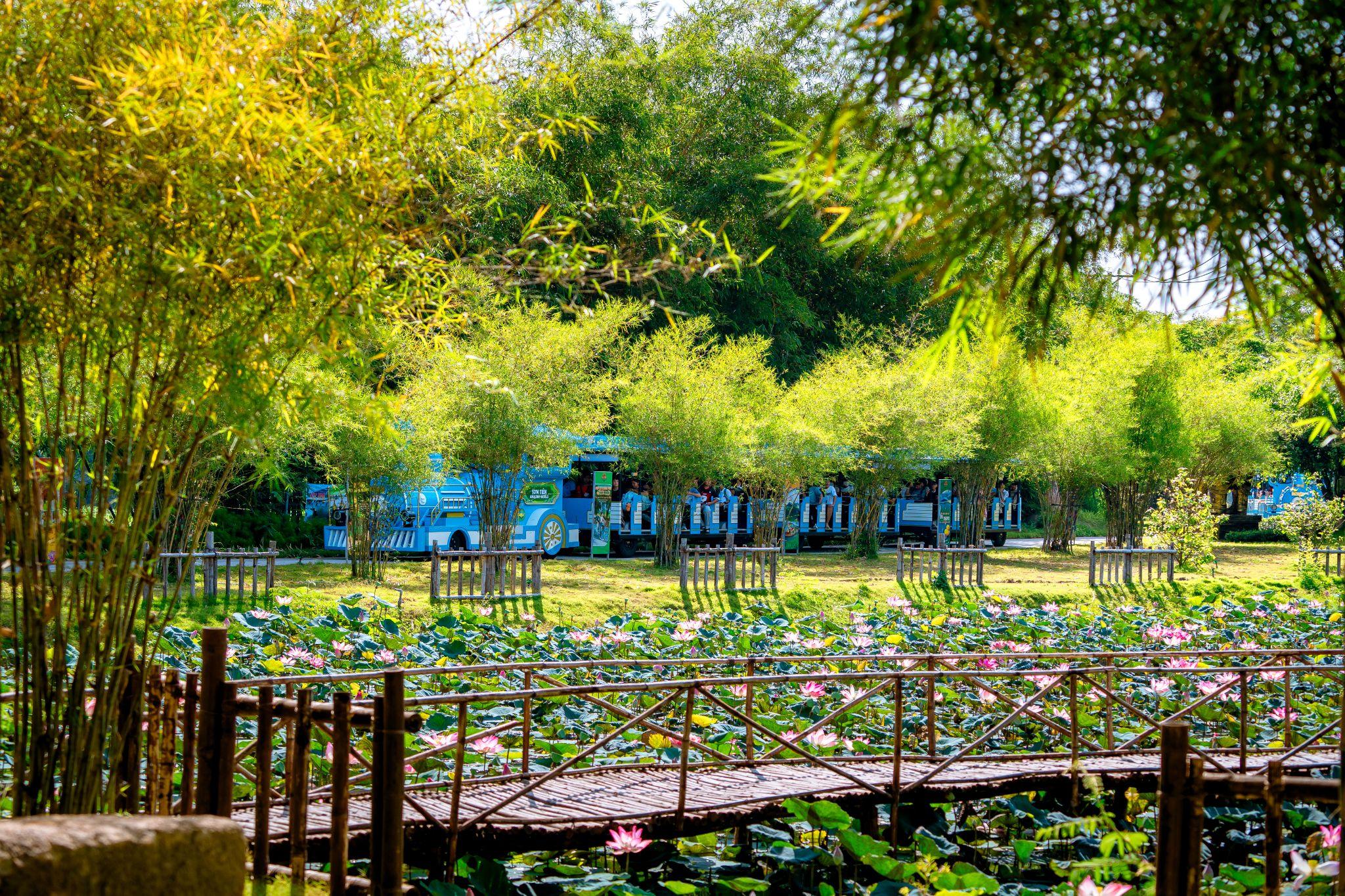 Một ngày xanh thật xanh giữa lòng thành phố du lịch Sơn Tiên - 5