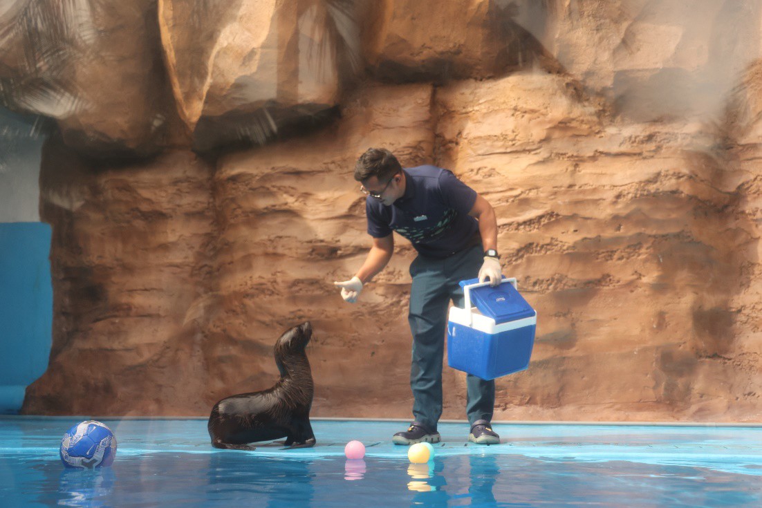 Hòn Tre bùng nổ mùa Tết với bộ ba siêu phẩm giải trí chưa từng có - 3