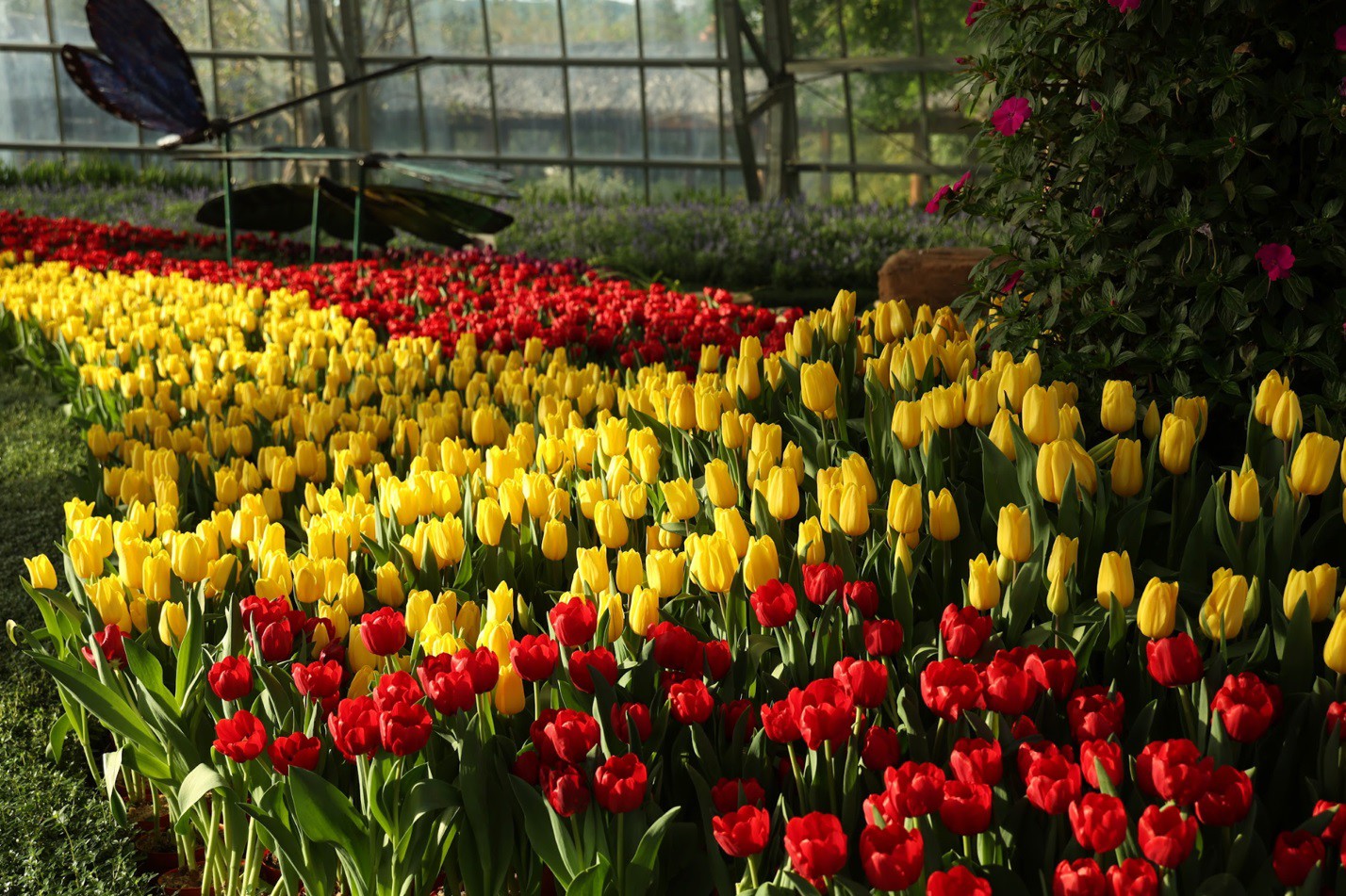 Hòn Tre bùng nổ mùa Tết với bộ ba siêu phẩm giải trí chưa từng có - 5