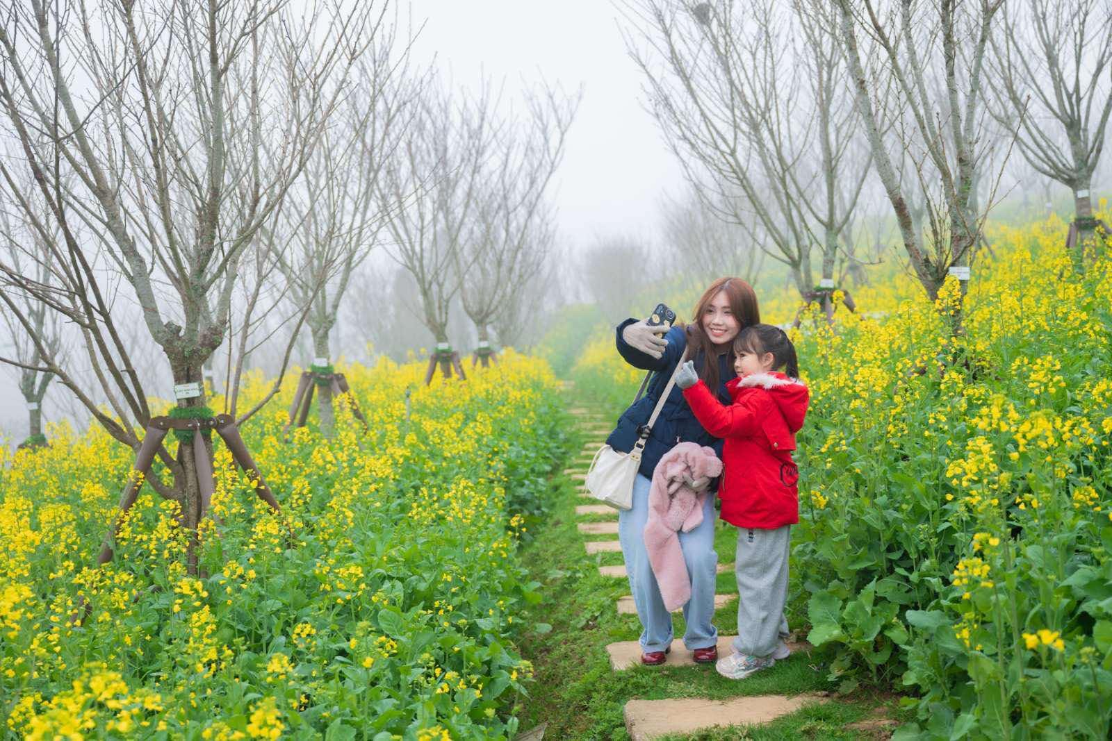 Nhiều điểm đến miền Bắc tấp nập đón khách du xuân - 4