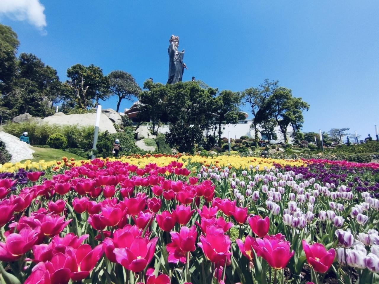 Những thiên đường hoa không thể bỏ lỡ ngày 8/3 tại Việt Nam - 3