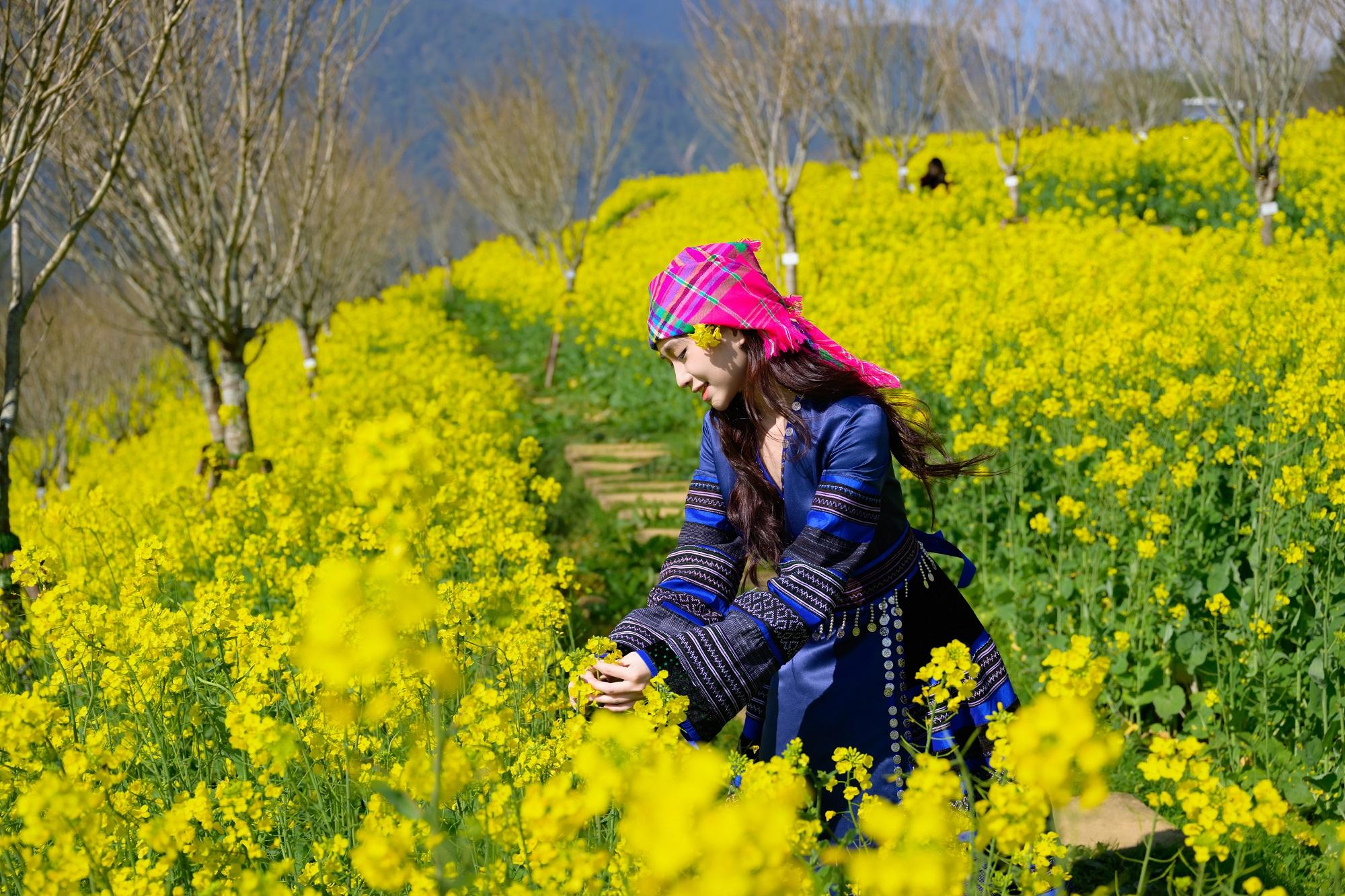 Những thiên đường hoa không thể bỏ lỡ ngày 8/3 tại Việt Nam - 1