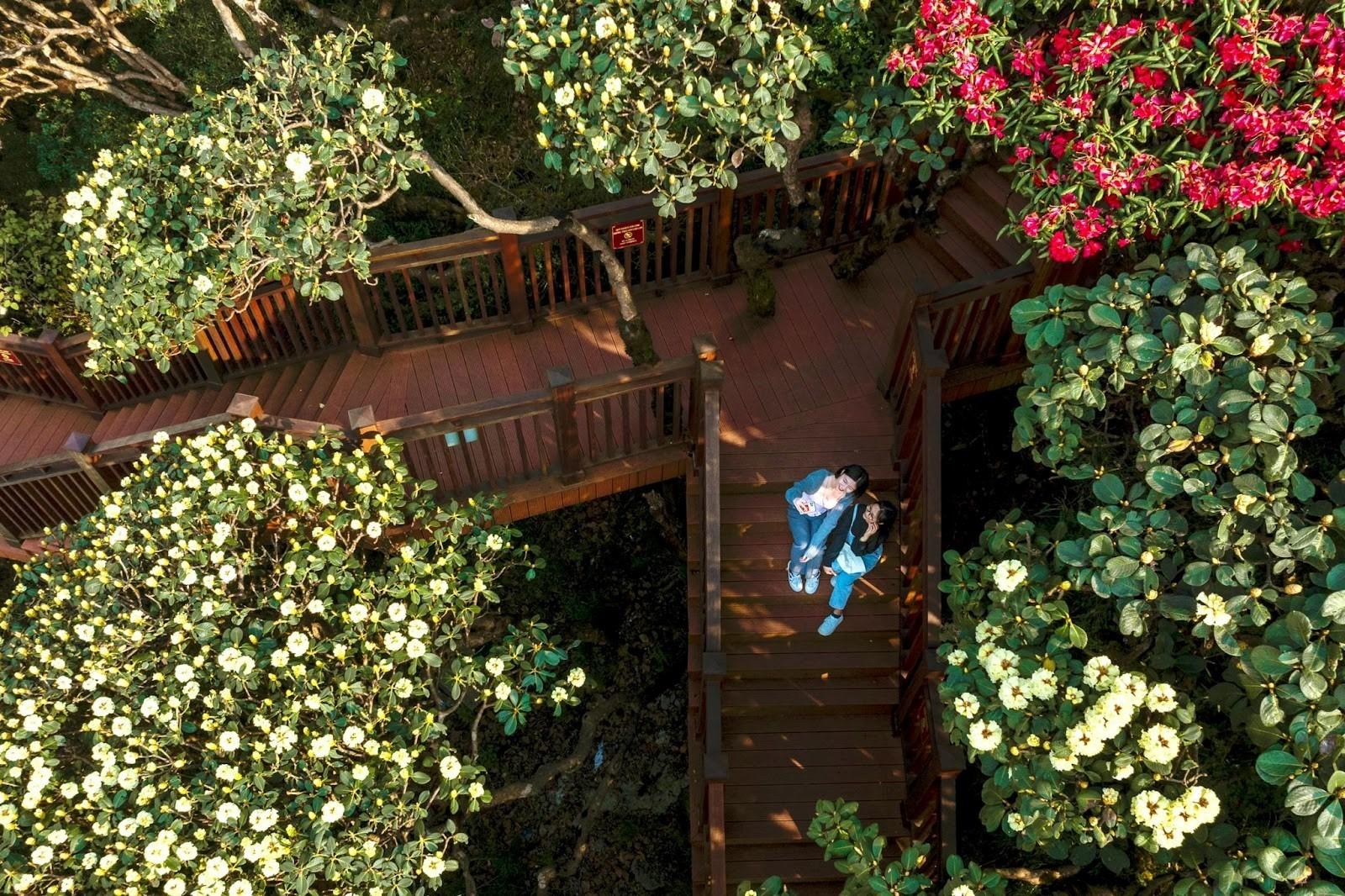 Du lịch Sa Pa dịp Giỗ Tổ, 30/4-1/5: Lộ trình nào lý tưởng nhất? - 4