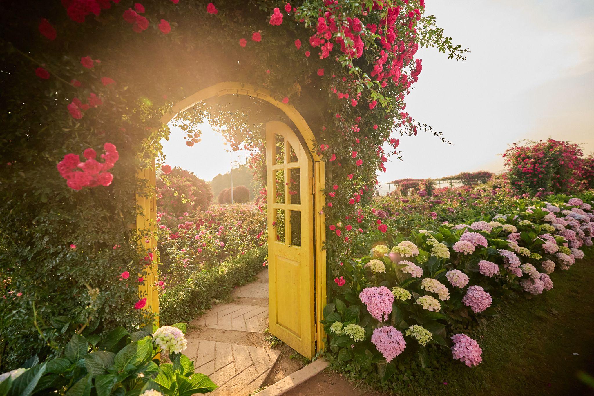 Hàng trăm nghệ nhân diễu hành xe hoa dịp Lễ hội hoa hồng Fansipan 2026 - 1