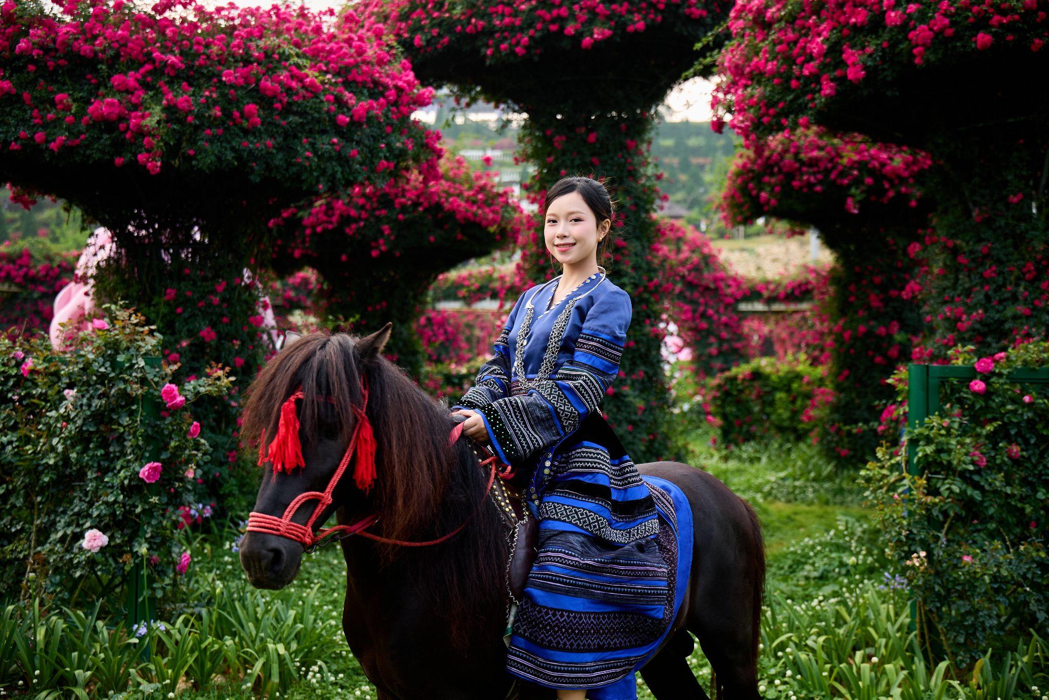 Hàng trăm nghệ nhân diễu hành xe hoa dịp Lễ hội hoa hồng Fansipan 2026 - 2