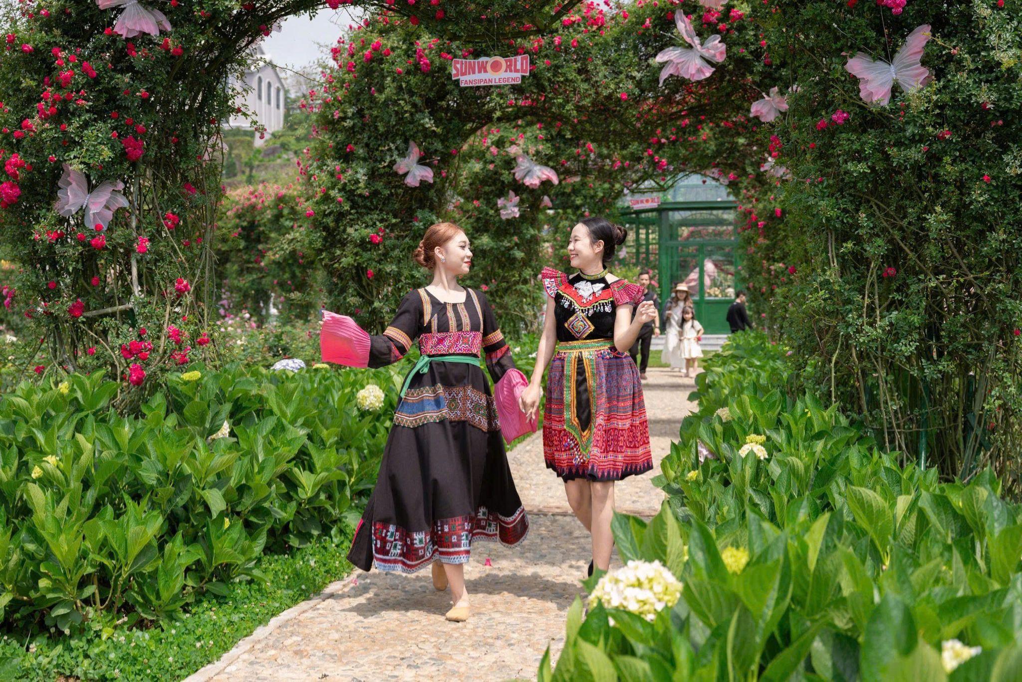 Lễ hội Hoa hồng Fansipan 2026 khai màn, hàng vạn du khách check-in bên triệu đoá hồng, vui bất tận từ sáng tới đêm - 3