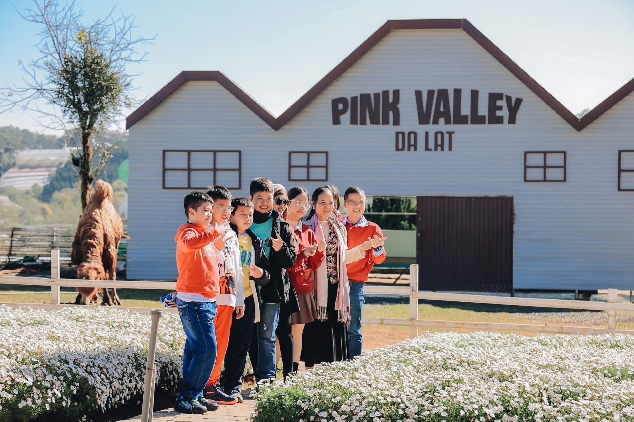 Pink Valley Đà Lạt có gì mà du khách liên tục rủ nhau đến trải nghiệm? - 5