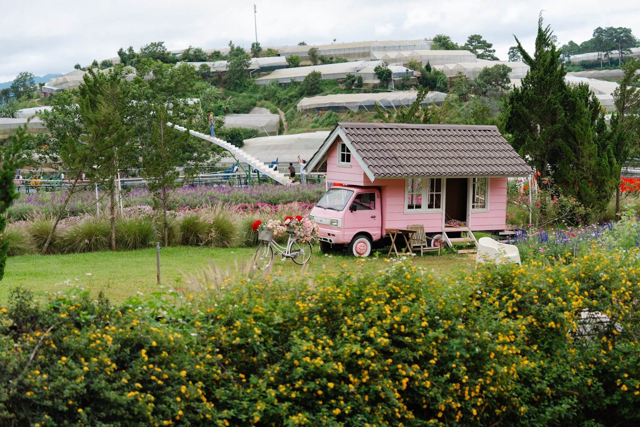 Pink Valley Đà Lạt có gì mà du khách liên tục rủ nhau đến trải nghiệm? - 2