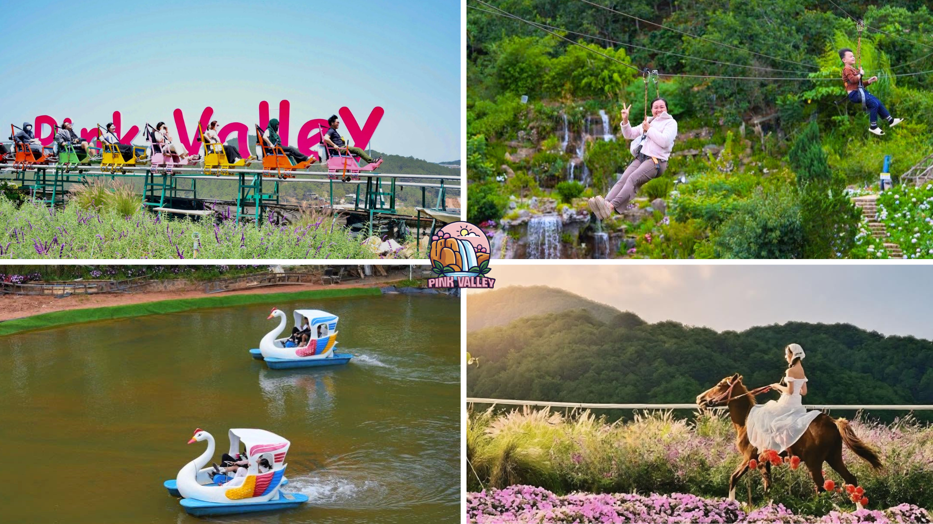 Pink Valley Đà Lạt có gì mà du khách liên tục rủ nhau đến trải nghiệm? - 3