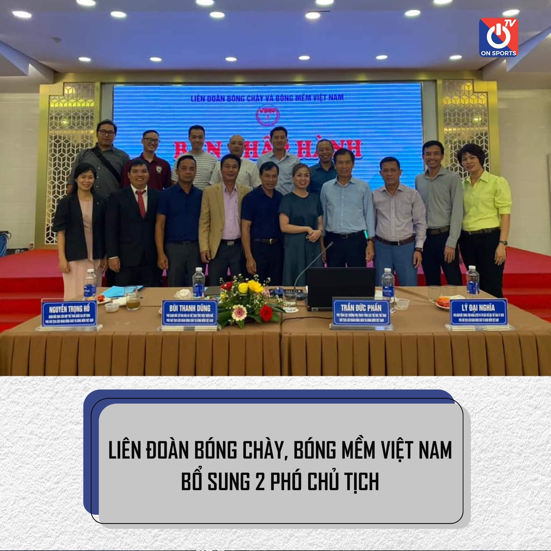 Liên đoàn Bóng Chày, Bóng Mềm Việt Nam bổ sung 2 Phó chủ tịch - 2