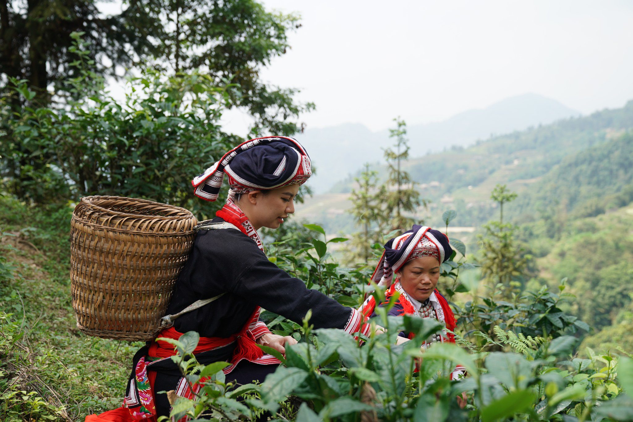 Panhou Retreat lọt danh sách đề cử “Khu nghỉ dưỡng bền vững hàng đầu châu Á” của World Travel Awards 2024 - 3