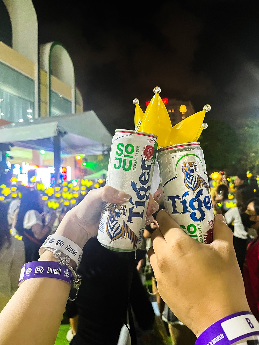 Tiger Soju và hàng ngàn fan mở ra một "biển vàng" như lời chào kết dành tặng Daesung - 4