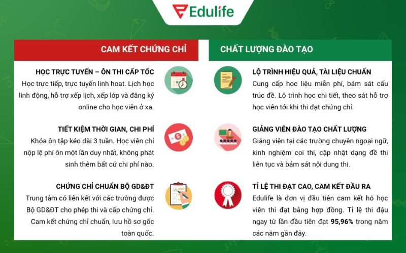 Edulife - Mang đến chương trình đào tạo luyện thi VSTEP chuyên sâu cho mọi học viên - 3