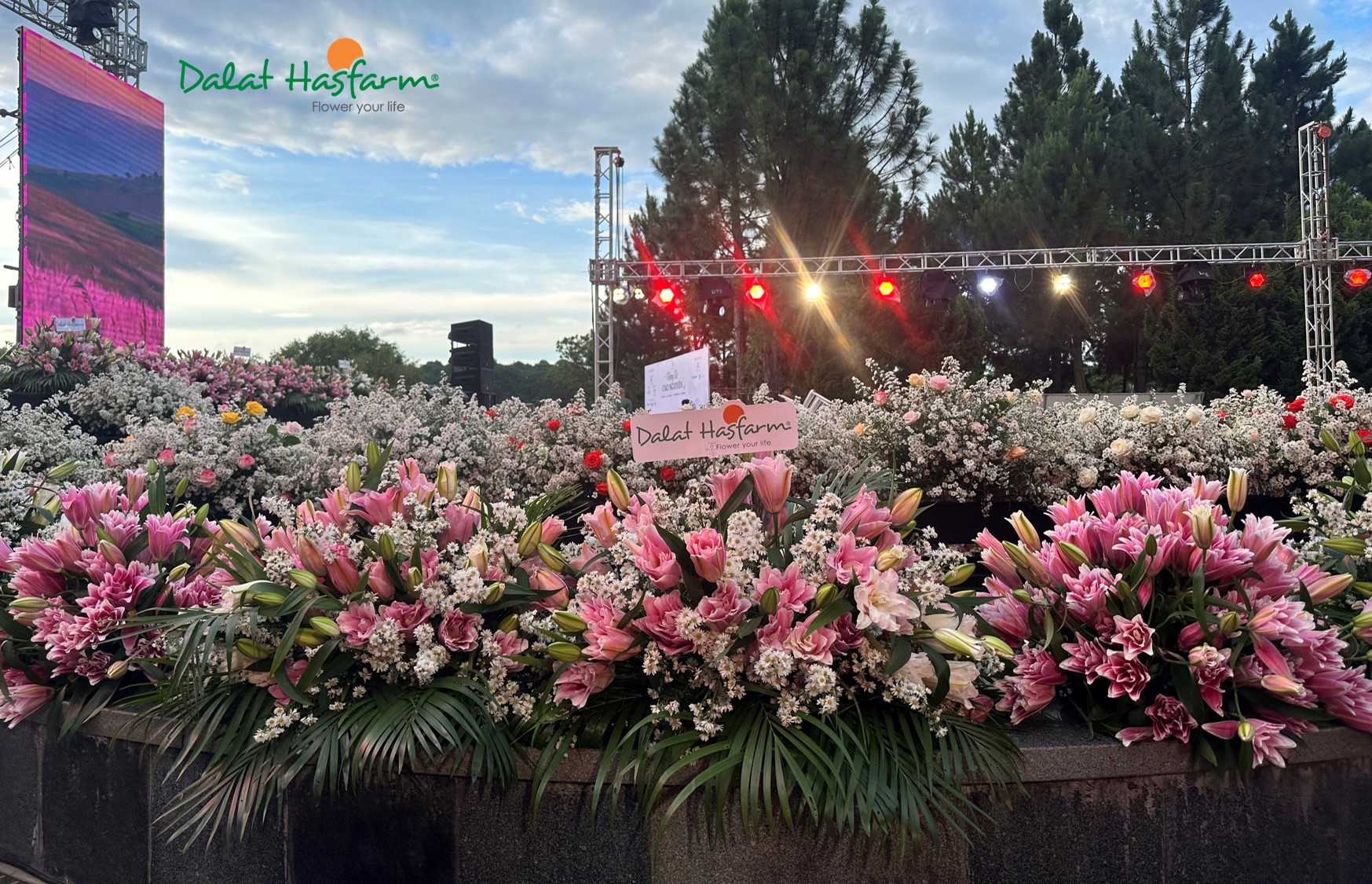 Dalat Hasfarm: vẻ đẹp hoa tươi cao cấp tỏa sáng tại "Hương Sắc Cao Nguyên" - 2