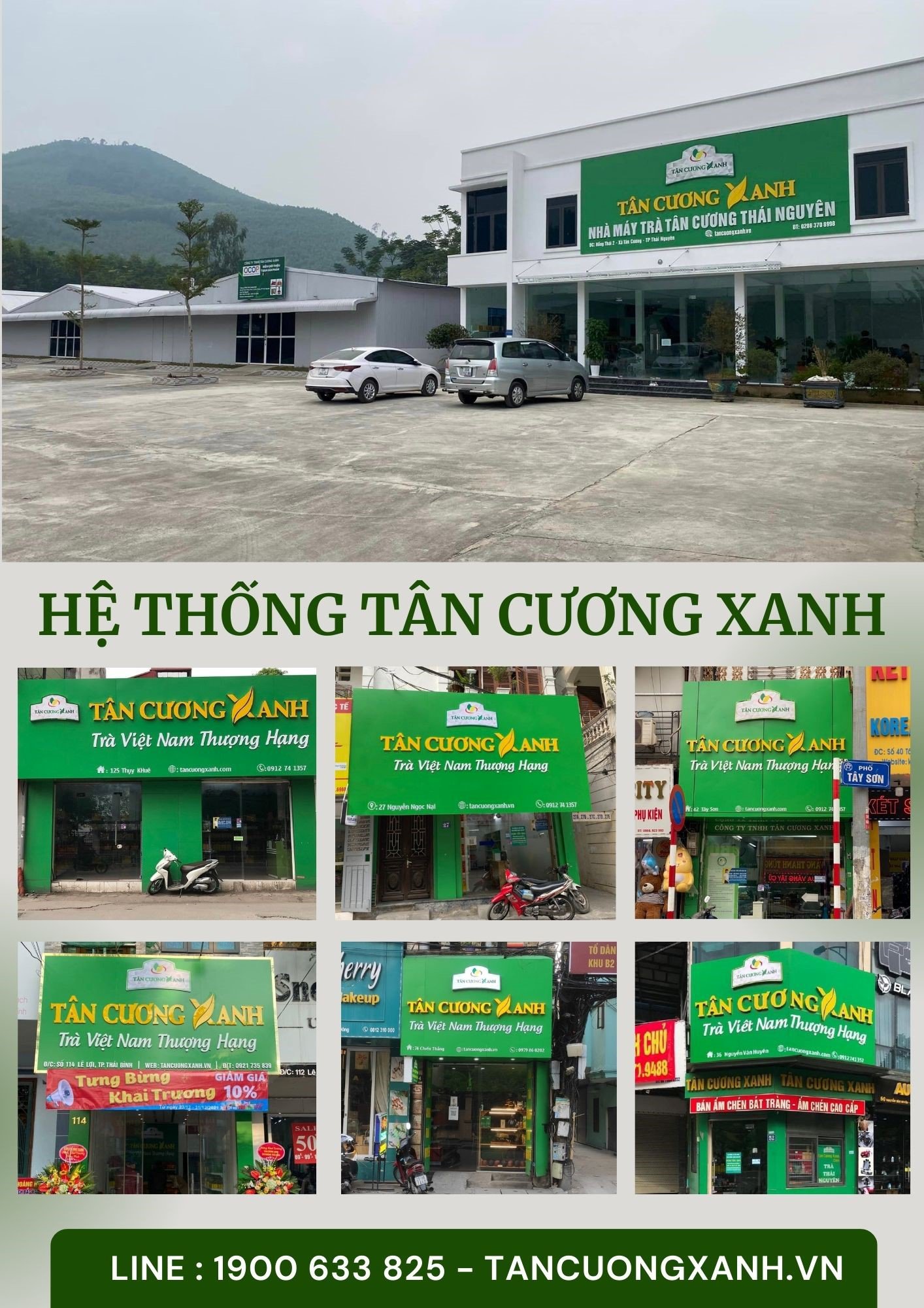 Trà sen Ngọc Tỉnh Liên- Hương vị trà sen xưa! - 5