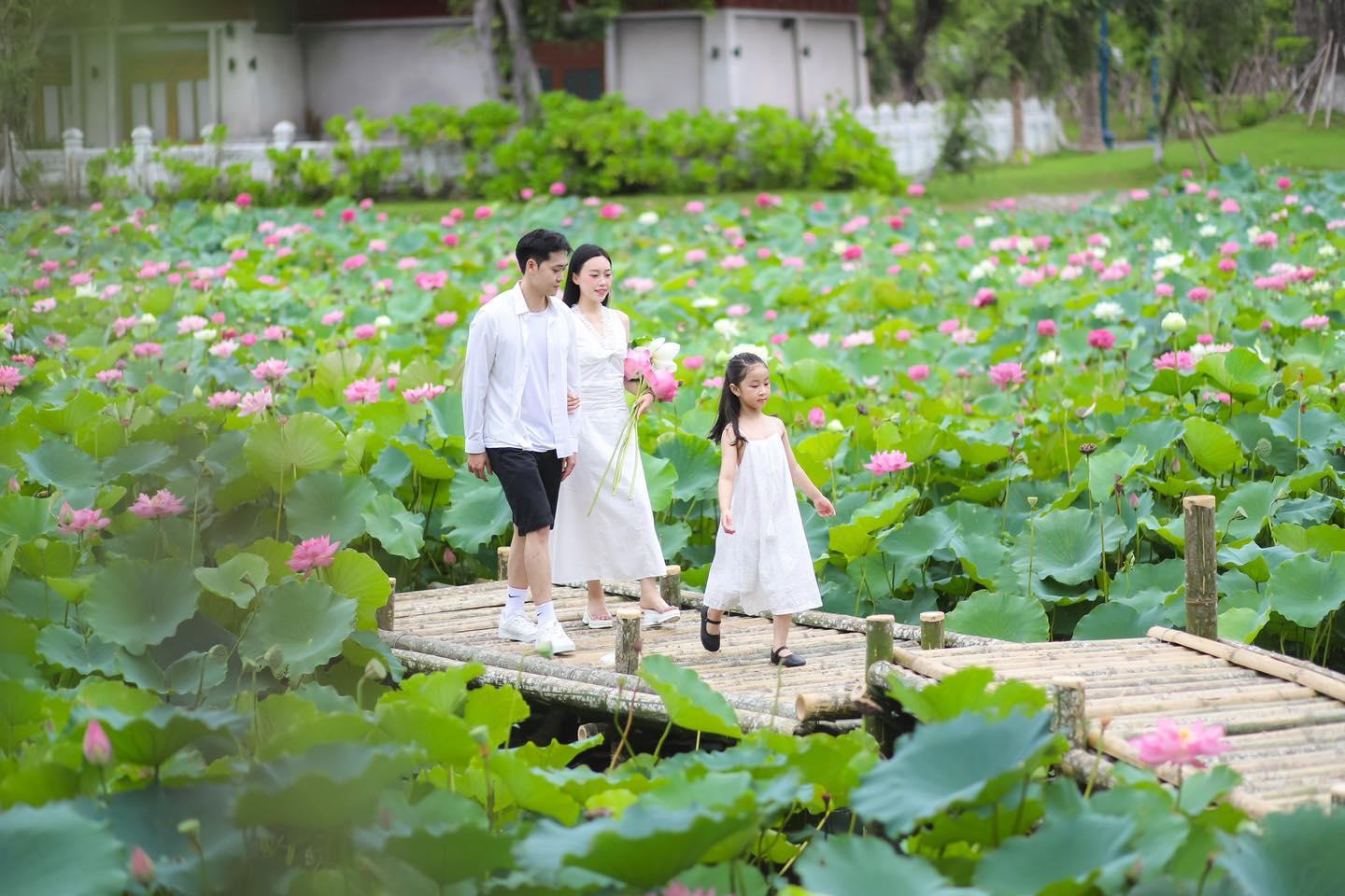 “Ha Long is calling”: Trải nghiệm một mùa hè mới tại Vịnh pháo hoa - 4