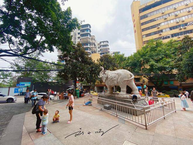 Chung cư 24 tầng “không thang máy” bỗng nổi tiếng, du khách ùn ùn check-in - 2