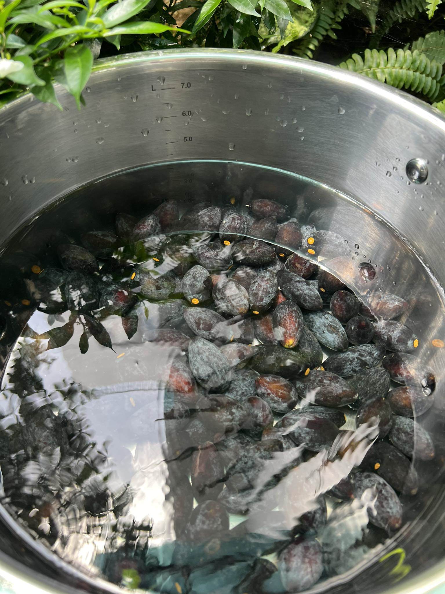 Đặc sản núi rừng làm theo cách này để được cả năm không lo bị hỏng - 3