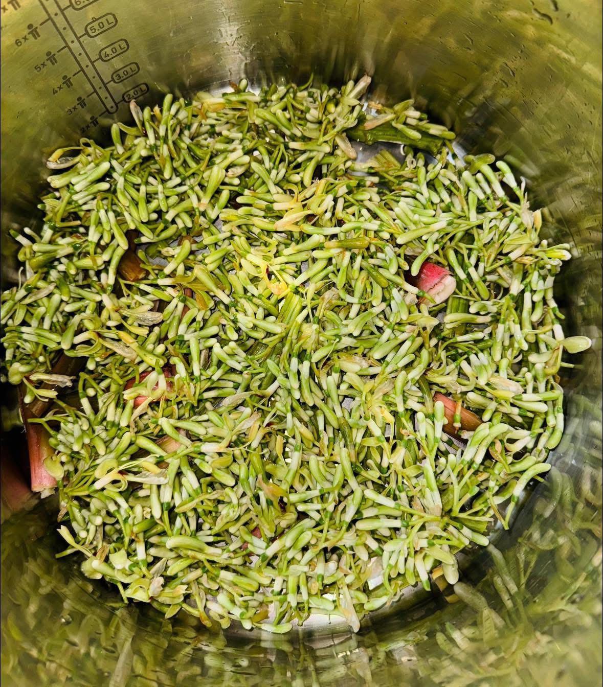 Loại hoa ít người biết đến, kho với cá vừa thơm vừa "tốn cơm" - 2