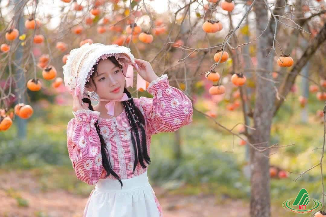 Kinh nghiệm chụp ảnh vườn hồng đẹp khi du lịch Mộc Châu tháng 11 - 6