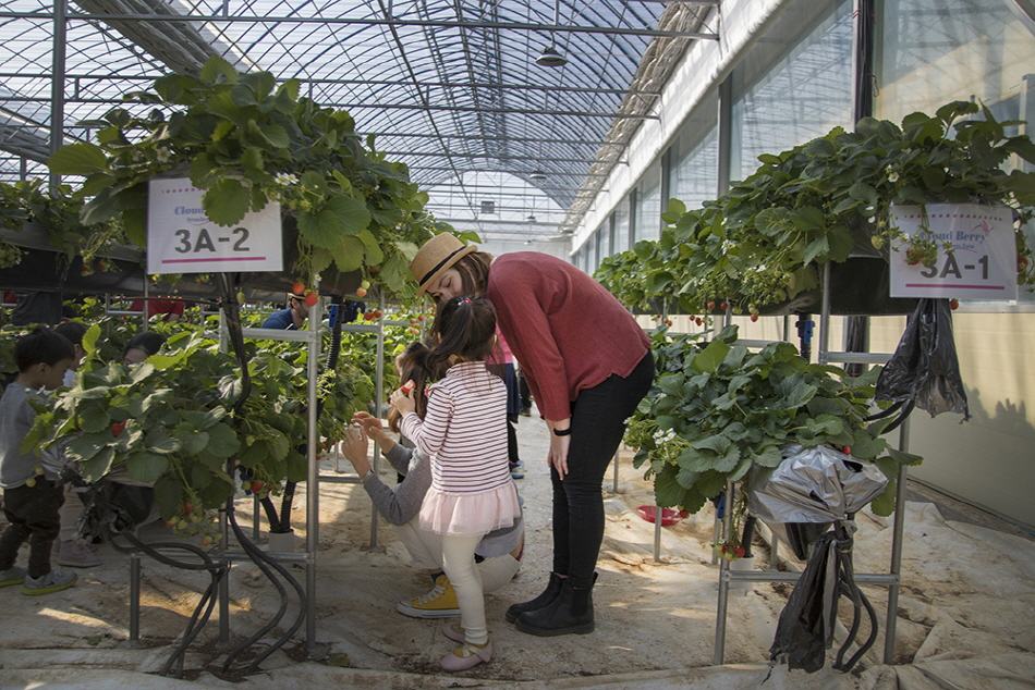 Mùa đông Hàn Quốc có gì đặc biệt? - 5