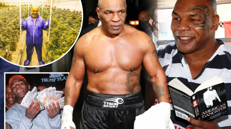 Mike Tyson từng "đá bay" tài sản 300 triệu USD, quá khứ đầy sóng gió - 1