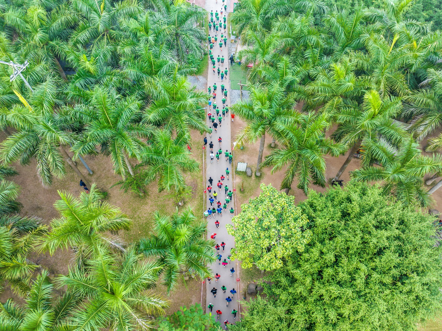 Đại đô thị xanh lớn nhất Nghệ An lần đầu tổ chức giải chạy mang tên Eco Central Park Marathon - 1