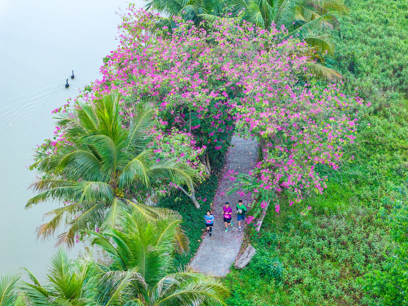 Đại đô thị xanh lớn nhất Nghệ An lần đầu tổ chức giải chạy mang tên Eco Central Park Marathon - 2