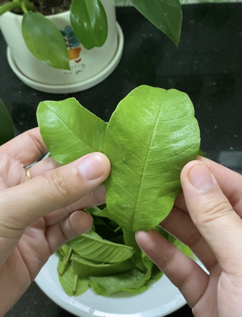 Không ngờ thịt gà trộn gỏi với lá ổi non lại ngon đến vậy - 2