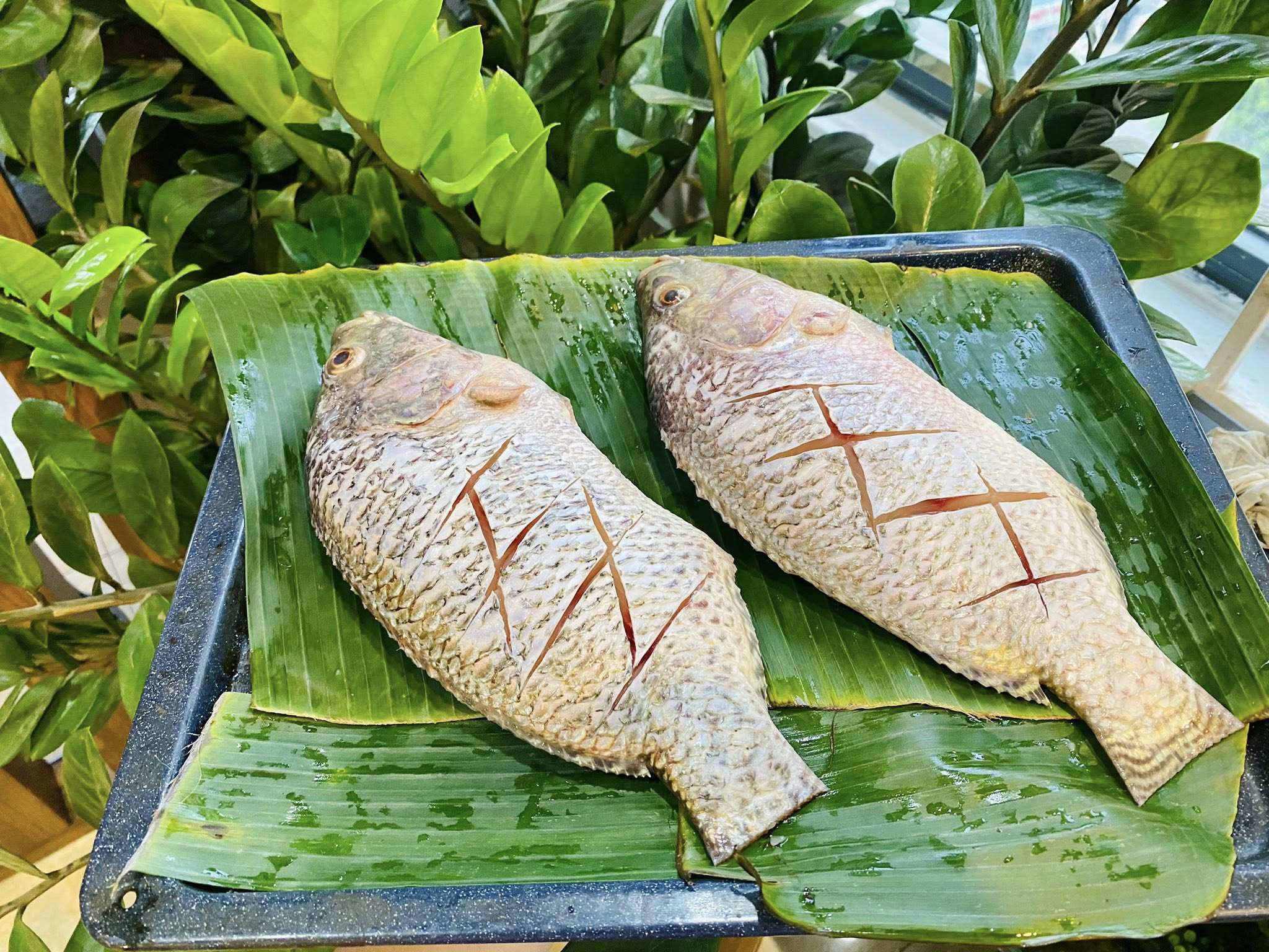 Cách làm cá nướng kiểu dân dã, ngon "bất bại" - 2