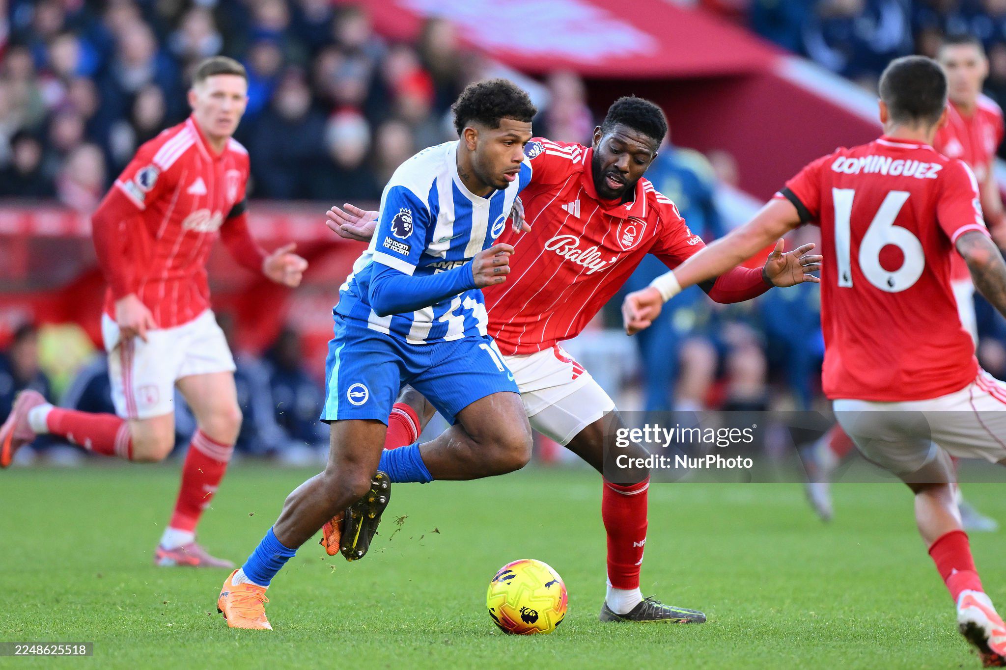 Kết quả bóng đá Nottingham Forest - Brighton: 2 đòn sắc lẹm, giữ vững Top 5 (Ngoại hạng Anh) - 1