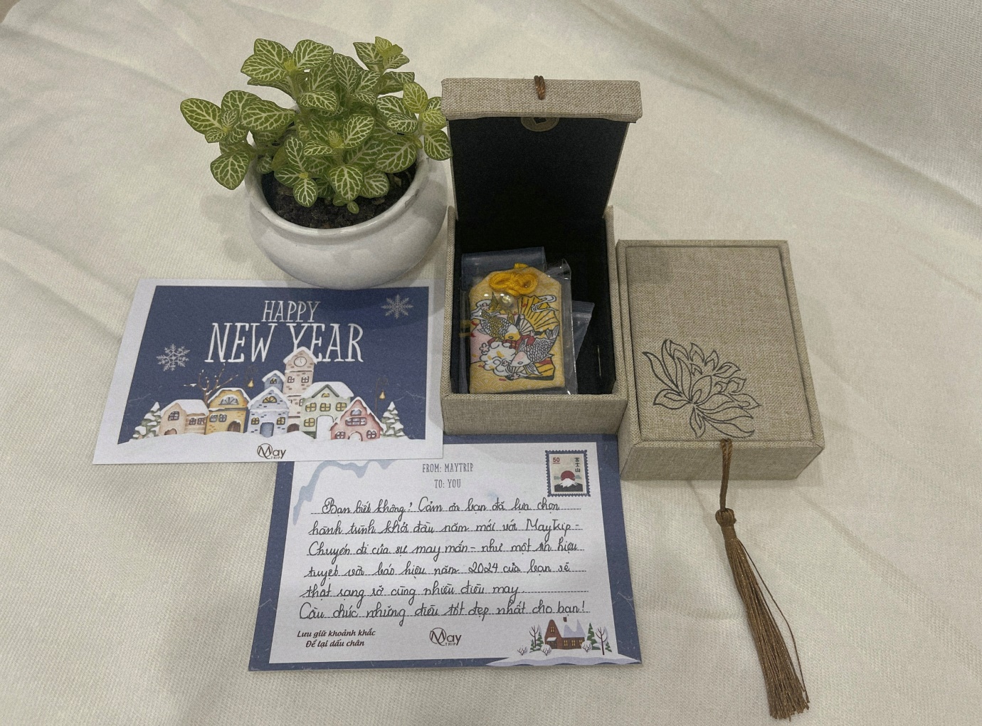 Giám đốc Cao Minh Tuấn và hành trình xây dựng dấu ấn MayTrip miền Nam - 2