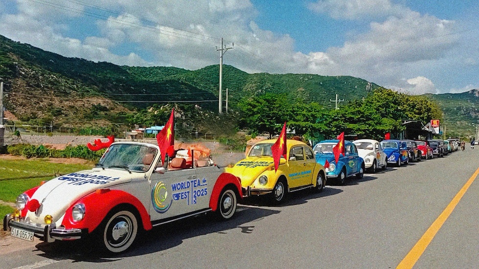 Noo Phước Thịnh, Bích Phương, Tăng Duy Tân hội tụ, Lâm Đồng sẵn sàng bùng nổ - 3