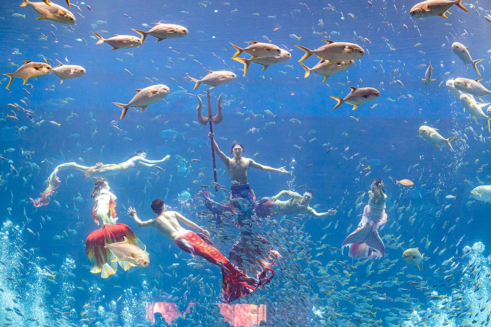 Bắc đảo Phú Quốc mùa đẹp nhất năm đánh thức mọi giác quan du khách - 5