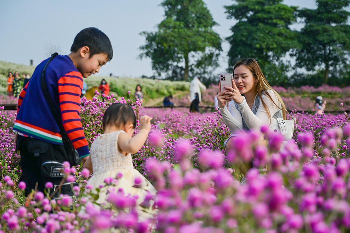 Giới trẻ đổ về vườn hoa ở Hà Nội chụp ảnh đầu năm - 4