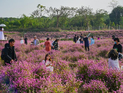 Du khảo - Giới trẻ đổ về vườn hoa ở Hà Nội chụp ảnh đầu năm