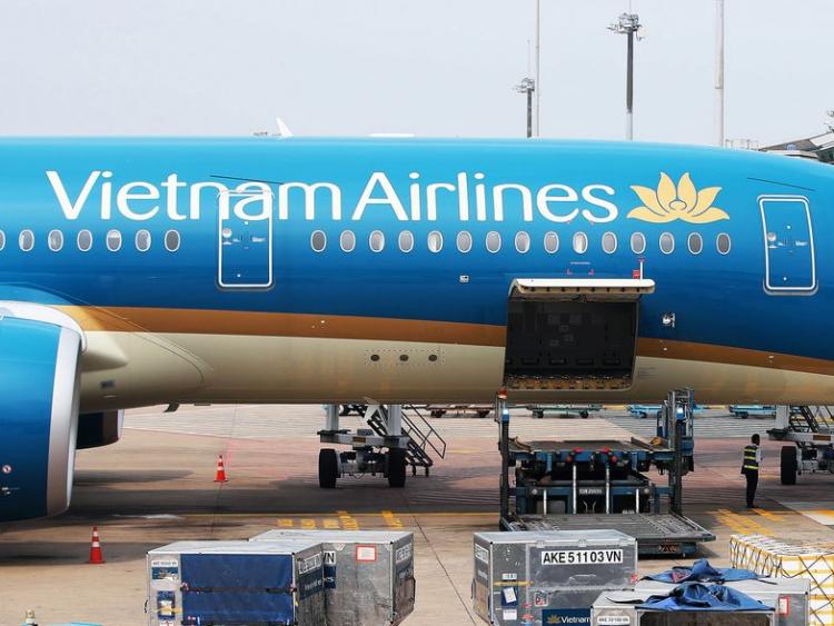 Vietnam Airlines sẽ bán cành đào, cây mai giao tận nhà