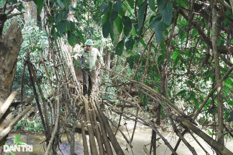 Khám phá thác Rơ Tu nằm ẩn sâu trong rừng xanh Gia Lai - 4