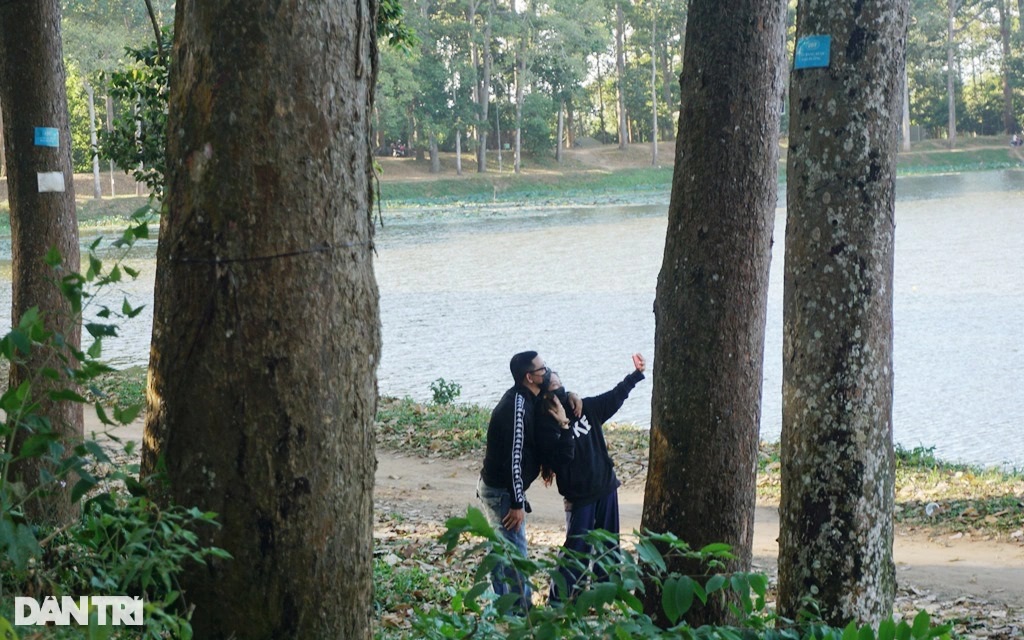 Ngắm những cây cổ thụ quanh ao nước "bước ra từ cổ tích" độc nhất Việt Nam - 7
