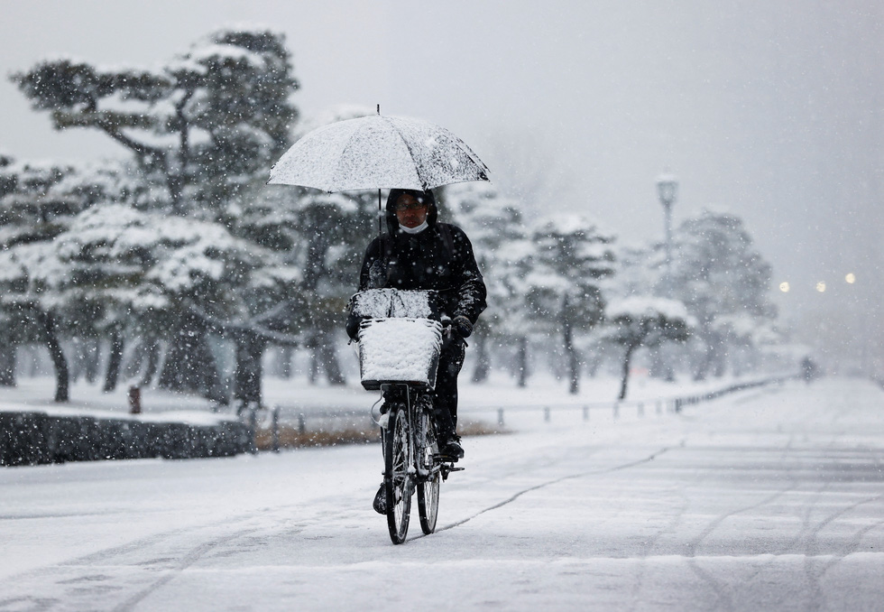 Tuyết rơi bất thường phủ trắng thủ đô Tokyo, tàu xe trễ nải nhưng dân 'thích' - 6