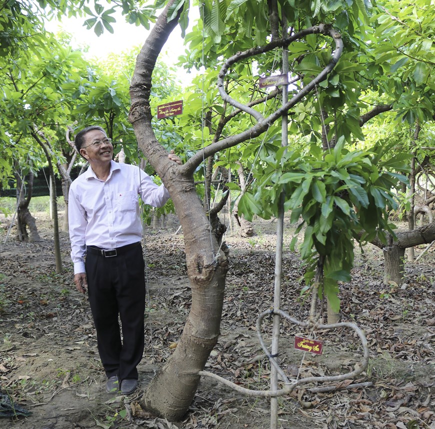 Khám phá vườn cây “Vô ưu” độc đáo được ghi danh kỷ lục Việt Nam - 7