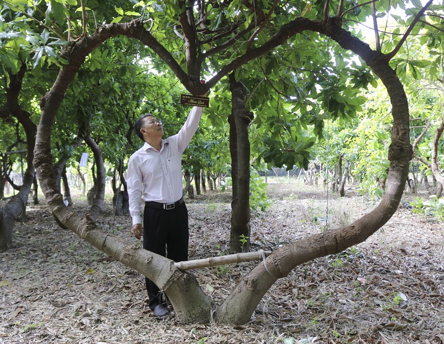 Khám phá vườn cây “Vô ưu” độc đáo được ghi danh kỷ lục Việt Nam - 8