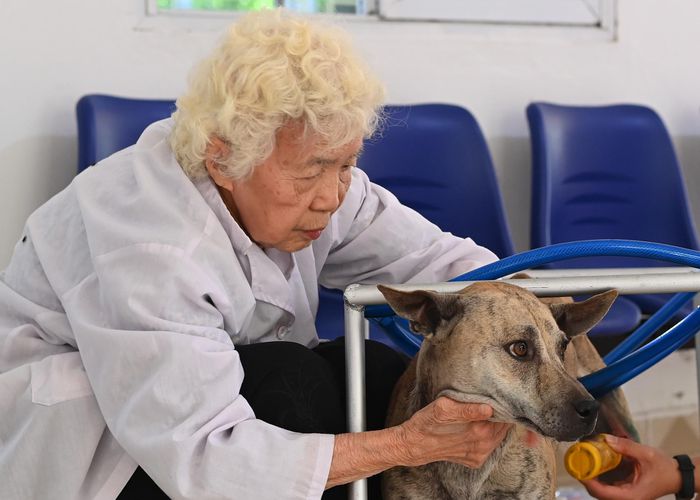 Phòng khám chó mèo miễn phí của cụ bà 90 tuổi - 2