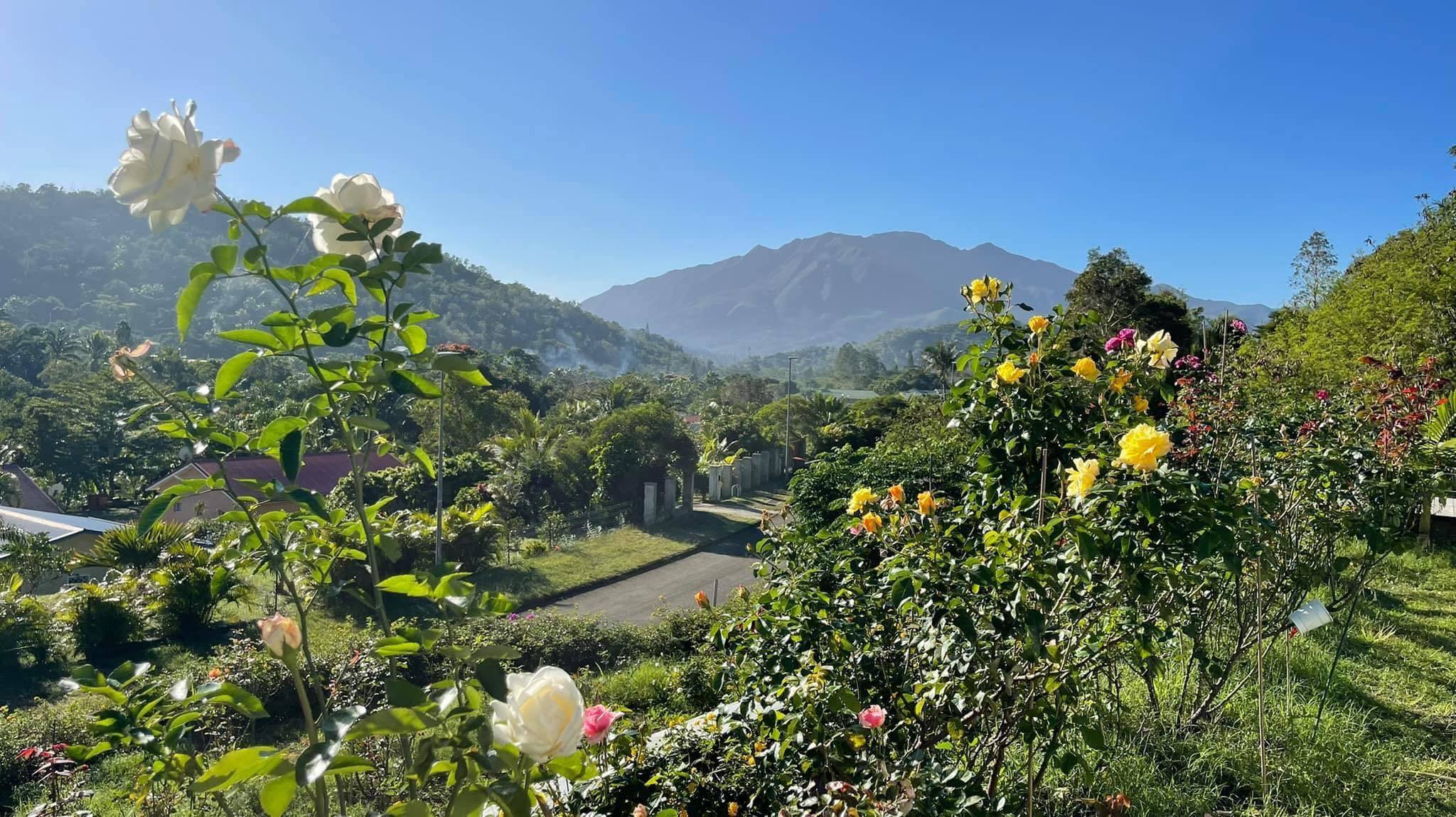 Mẹ Việt biến 4.000m2 đồi cằn thành "resort" đầy hoa, xây bể bơi vô cực đón hoàng hôn - 4