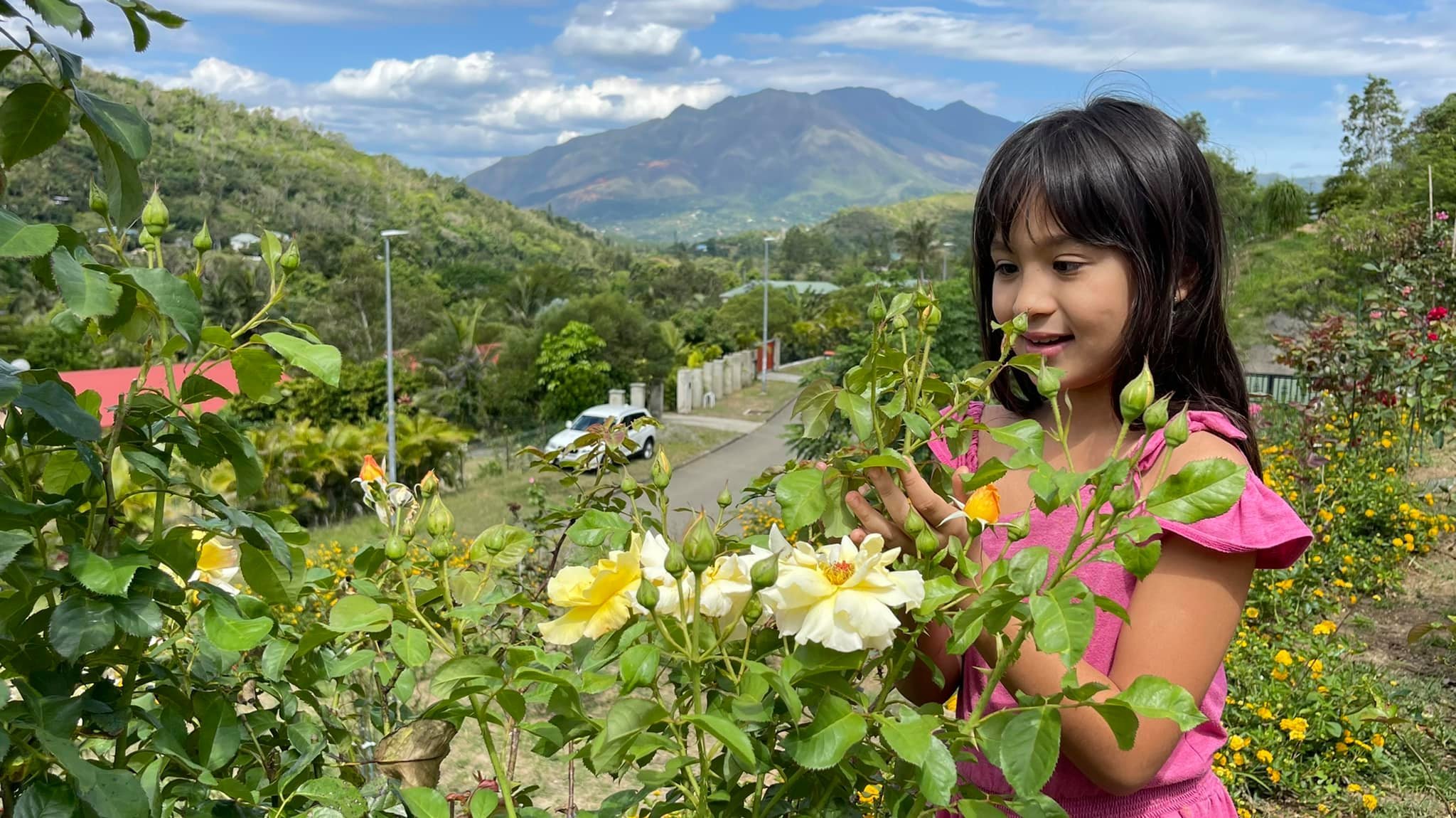 Mẹ Việt biến 4.000m2 đồi cằn thành "resort" đầy hoa, xây bể bơi vô cực đón hoàng hôn - 9