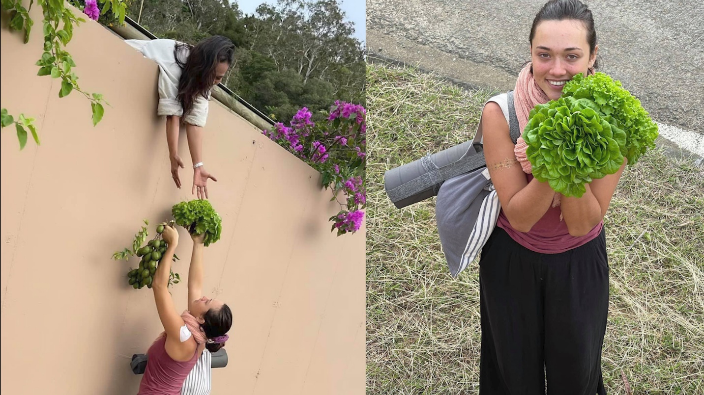 Mẹ Việt biến 4.000m2 đồi cằn thành "resort" đầy hoa, xây bể bơi vô cực đón hoàng hôn - 14