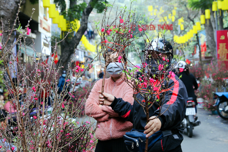 Hà Nội tổ chức 78 điểm chợ hoa Xuân dịp Tết 2022 - 1