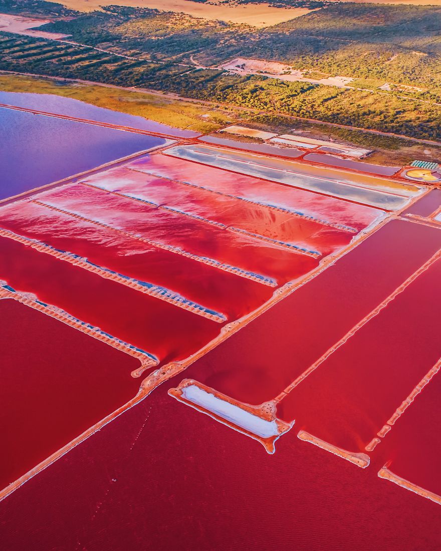 Loạt tác phẩm nhiếp ảnh tuyệt đẹp về hồ nước màu hồng kỳ diệu ở Tây Úc - 13